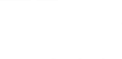 Vox