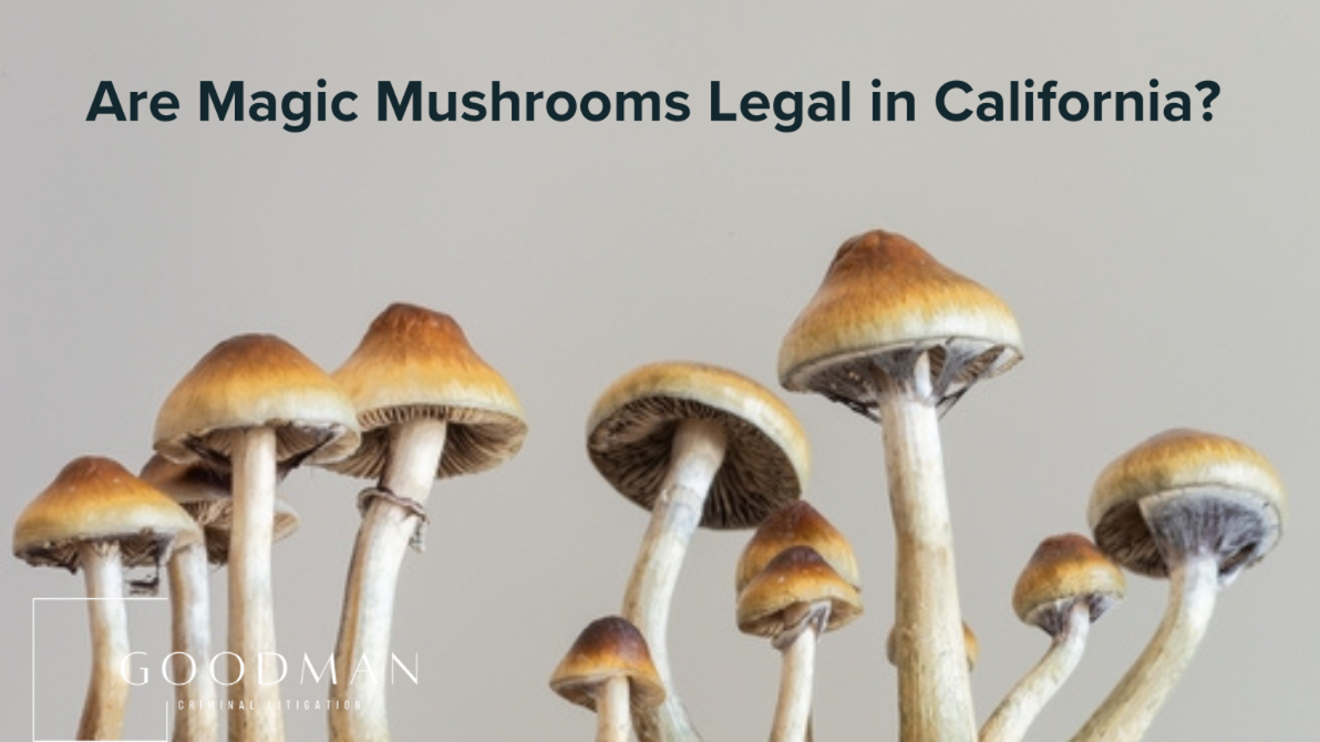 Are Magic Mushrooms Legal in California?