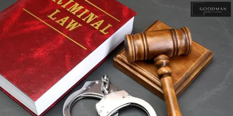 best buena park criminal defense lawyer