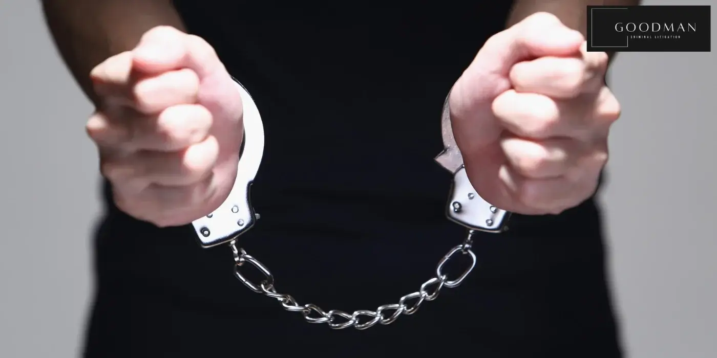 best costa mesa theft crime lawyer