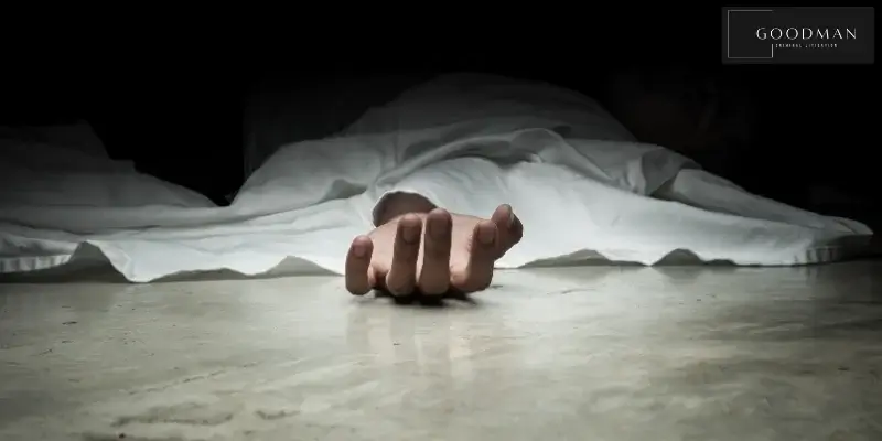 best santa ana murder lawyer