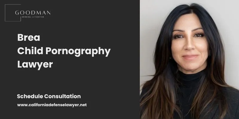 best brea child pornography lawyer