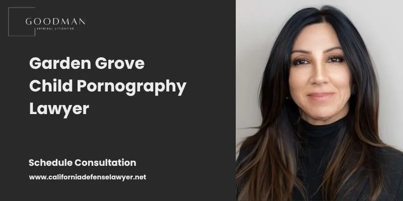 best garden grove child pornography lawyer